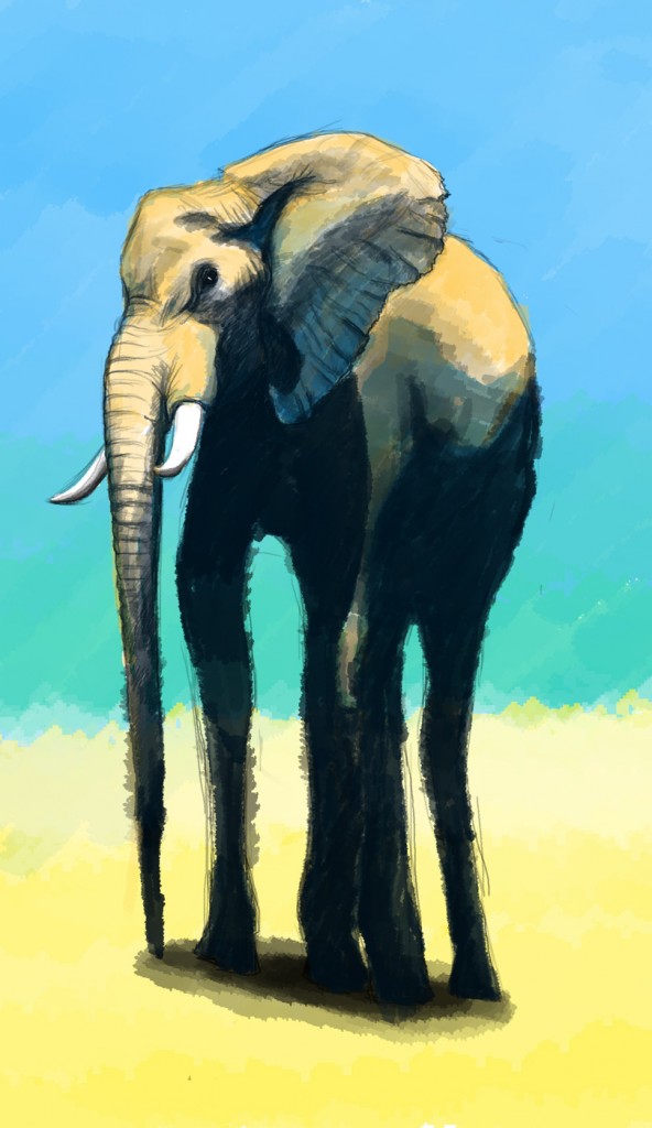 elephant3_2